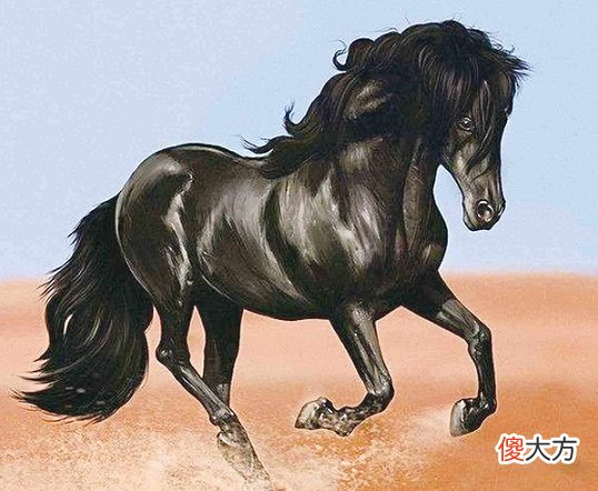 【历史故事】浅谈明朝辽东马市的出现和发展