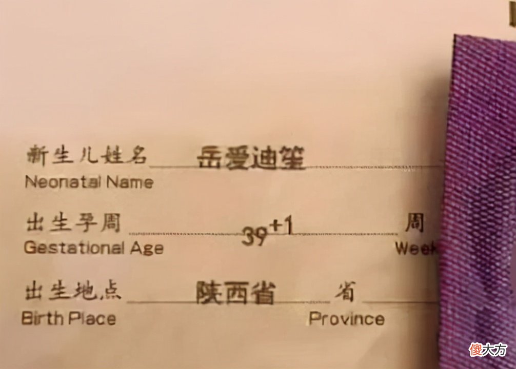 “伪复姓”成取名新潮流？家长引以为荣，孩子在学校很伤自尊
