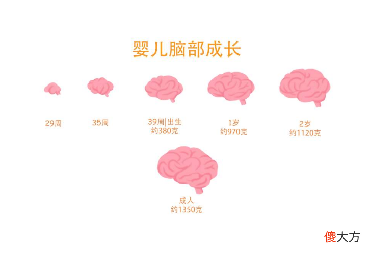 美国心理学家发现：高智商儿童的确有共同点，但并非全靠遗传