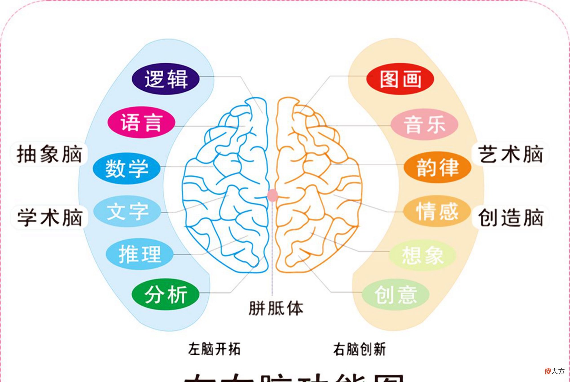男孩“开窍”比女孩晚？天性缺陷有三种弥补方式，迎头赶上不是梦
