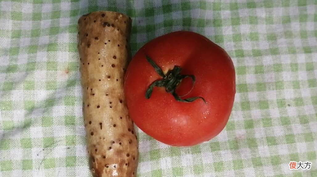 6个月宝宝辅食这样吃，开胃的同时又能健脾胃，加上米粉完美