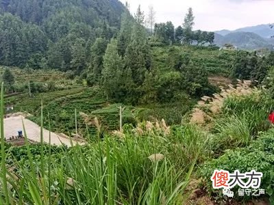 现在的孩子为何怕写作文？