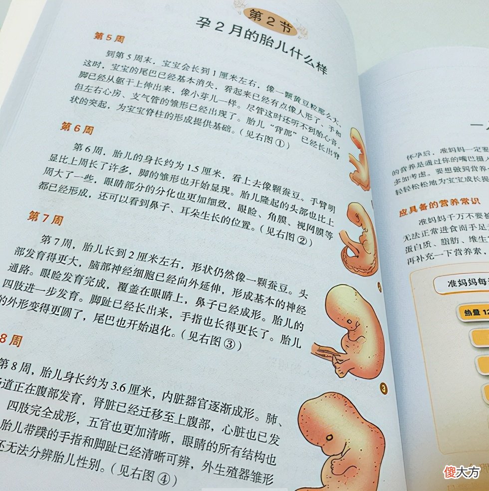 怀孕后有4个产检项目要重视，一旦错过可能就无法做了，孕妈妈要注意