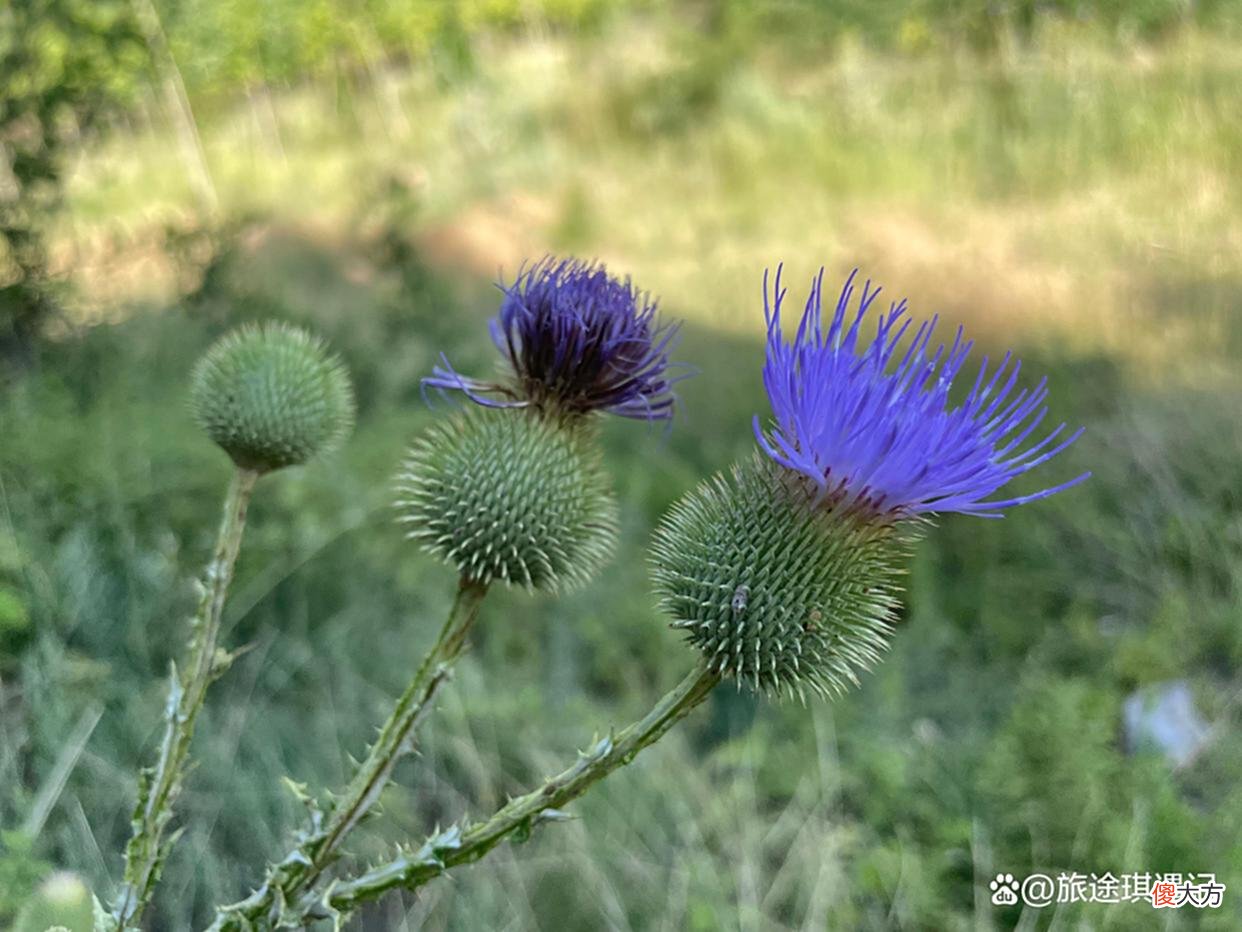 【历史故事】40万大军没有挖开乾陵，留下一条深沟，武则天的陵墓到底有多坚固