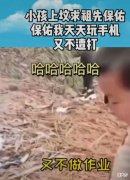 小男孩上坟不小心说出真心话，网友：这是要把老祖宗气醒了咋办