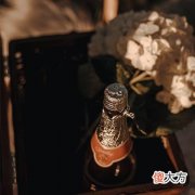 梦见填湖泊造田