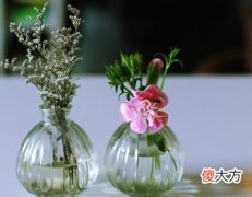 梦见狗的皮全掉了