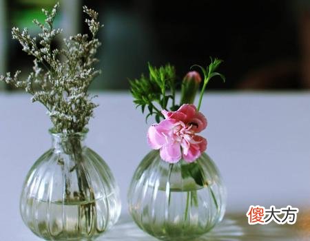 梦见狗的皮全掉了