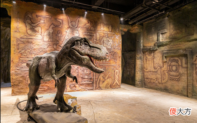 妈妈,你知道么?最早的纸张,不是中国的造纸术!给孩子做历史启蒙,你会先让孩子学中国史?还是世界史?