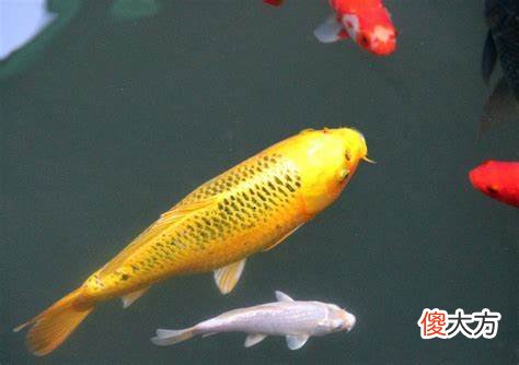 招财方法