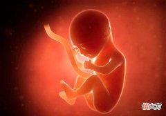 胎儿在肚里传递的4个信号，孕妈接收到几个？越多说明宝宝越聪明