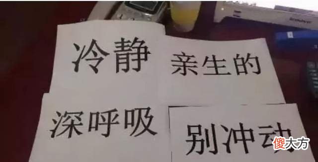 辅导作业酿悲剧，希望每一位父母都能接纳孩子的平凡与不同