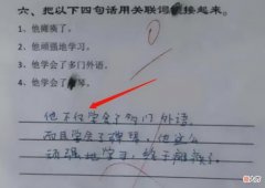 小学生“倒数第一”试卷，脑洞如此大，老师无奈感慨：没法教
