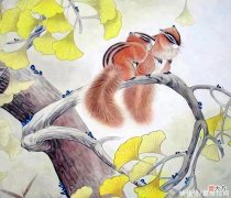 【十二星座】生肖兔遇上什么生肖，运气也会变好，桃花和金钱水到渠成