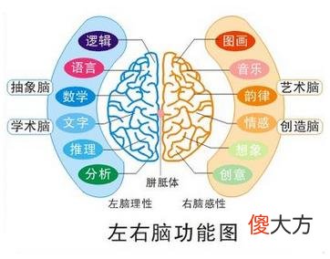 麻省理工最新发现：促进孩子大脑发育的最佳方式，并非是“阅读”