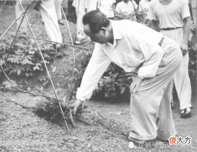 【爱历史】乡思乡情乡泪：1959年6月，毛泽东时隔32年回韶山，住了3天2夜