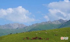 【爱历史】《没有伞的孩子必须努力奔跑》成大事需要在努力的同时敢于冒险