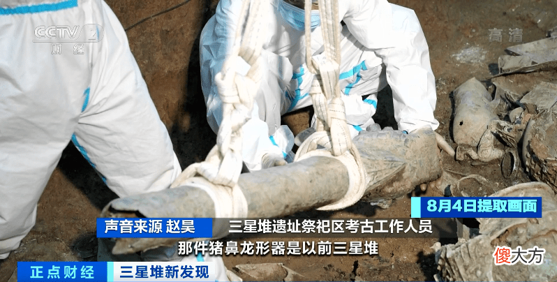 【历史故事】三星堆“神兽”添新丁，猪鼻龙形器盖出土