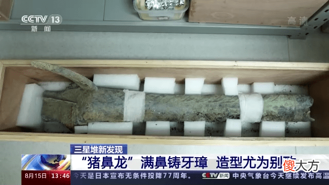 【历史故事】三星堆“神兽”添新丁，猪鼻龙形器盖出土
