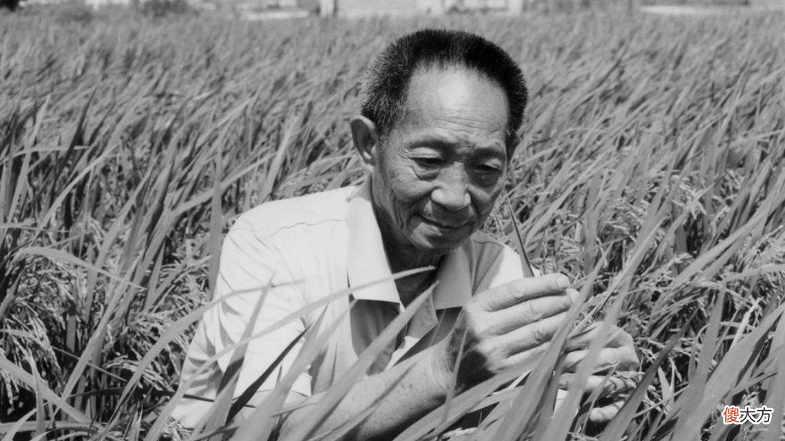 【爱历史】引发国人震怒,巨星陨落却说风凉话?震怒的不止人还有天地!