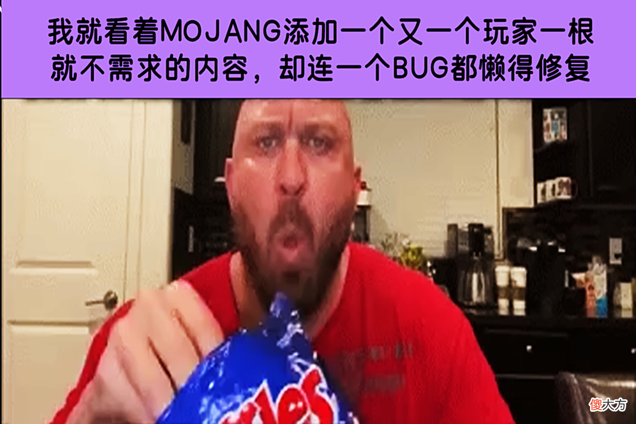 【游戏迷】我的世界：玩家恍然大悟，“蠹虫”成了mc里，唯一被遗忘的生物！