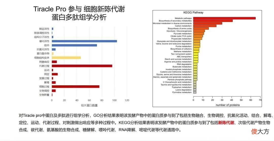 【就爱时尚】美集团自主专研蓝铜肽，技术应用新突破