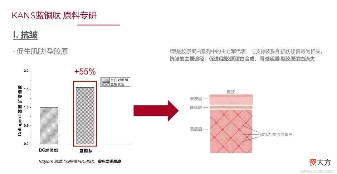 【就爱时尚】美集团自主专研蓝铜肽，技术应用新突破