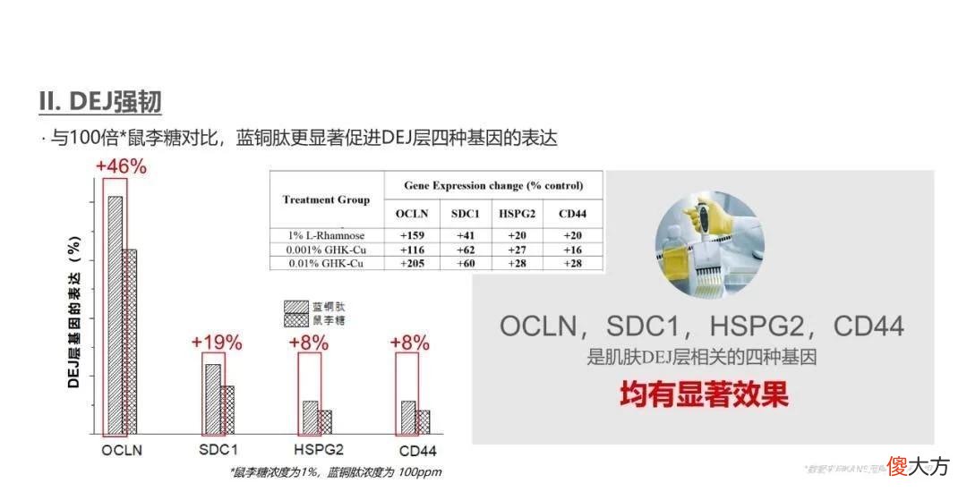 【就爱时尚】美集团自主专研蓝铜肽，技术应用新突破