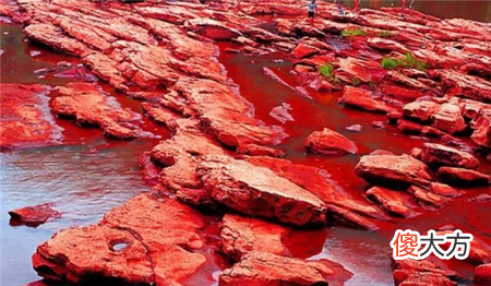 云南最奇特的河流，每次下雨就变成血红色，两边毒蛇蜂拥而出