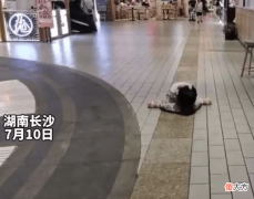 “起来吧孩子，这都是爸妈玩剩下的”