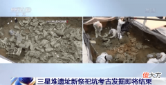 【历史故事】三星堆遗址8号坑文物已提取约四分之三