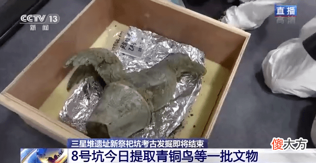 【历史故事】三星堆遗址8号坑文物已提取约四分之三