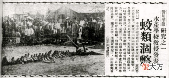 【爱历史】1934年辽宁营口坠龙事件：当地人口中的“龙”，到底是什么动物？