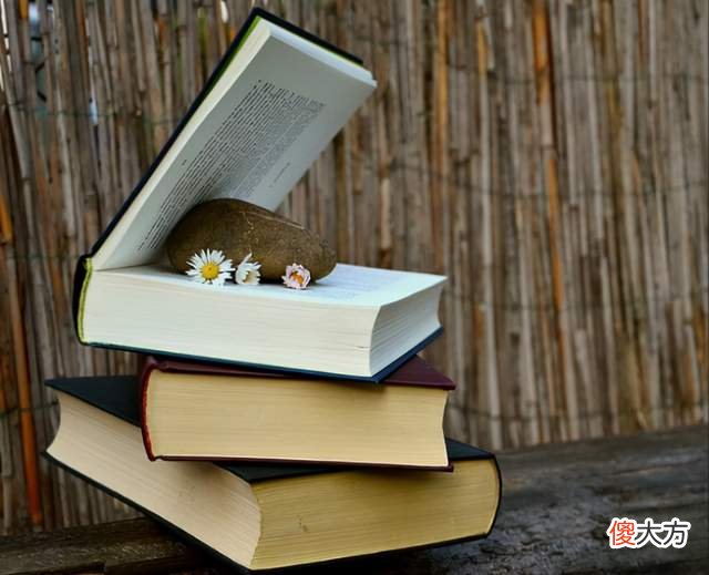 清华贫困生的“树洞”全网刷屏:你被感动到了没有?