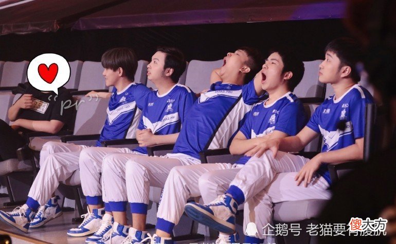 【游戏迷】震惊：猫神打出自己职业生涯的最惨战绩