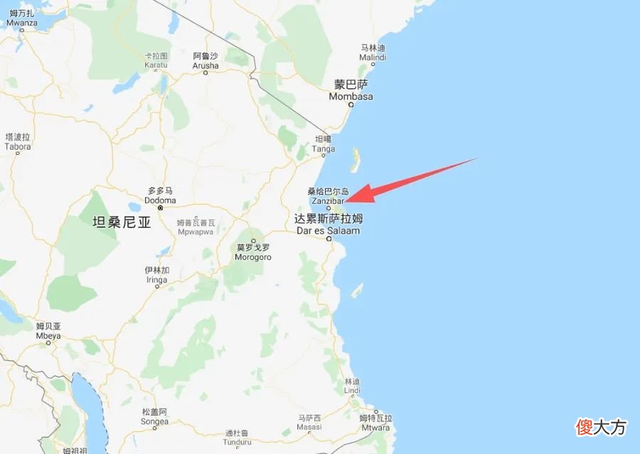 【爱历史】桑给巴尔：原产亚洲的丁香，为何会取代黑奴成为东非小岛的支柱？