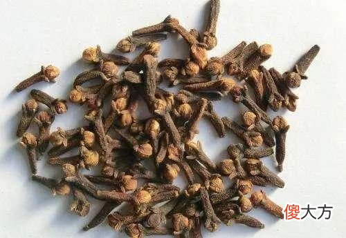 【爱历史】桑给巴尔：原产亚洲的丁香，为何会取代黑奴成为东非小岛的支柱？