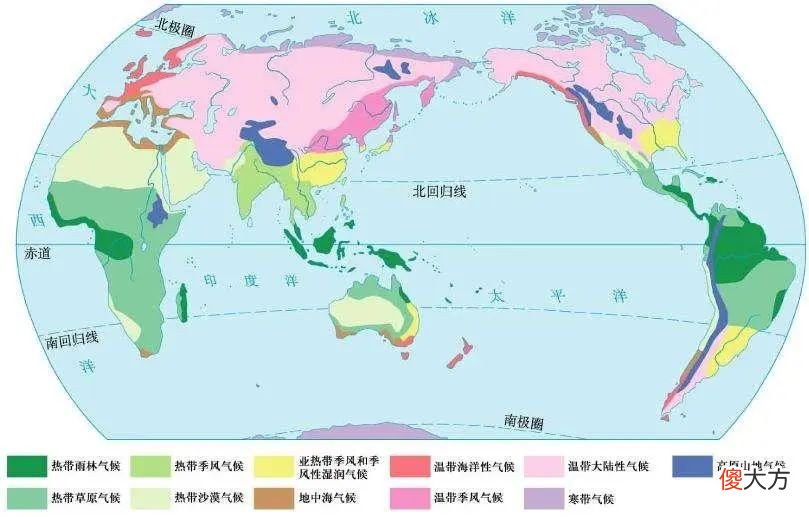【爱历史】桑给巴尔：原产亚洲的丁香，为何会取代黑奴成为东非小岛的支柱？