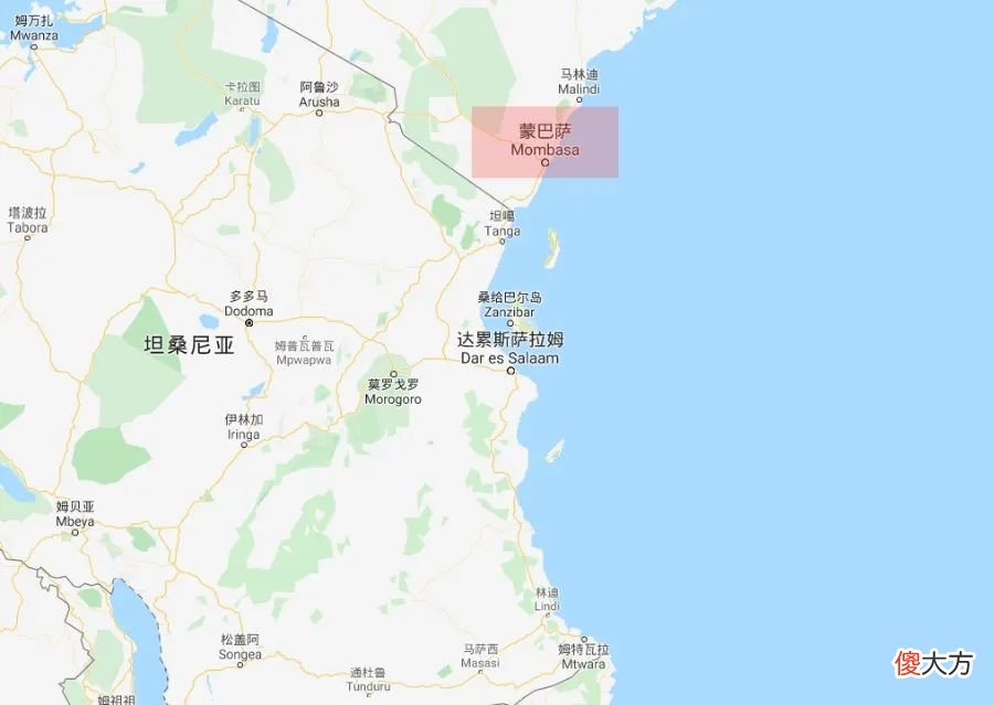 【爱历史】桑给巴尔：原产亚洲的丁香，为何会取代黑奴成为东非小岛的支柱？