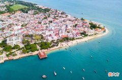 【爱历史】桑给巴尔：原产亚洲的丁香，为何会取代黑奴成为东非小岛的支柱？