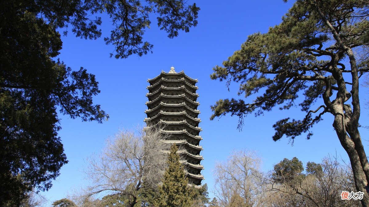 【爱历史】蔡元培离开北大时，留下一段话，至今是谜