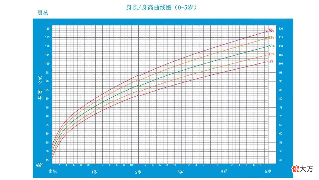 春季“长高黄金期”，3个秘诀让孩子多长5厘米！