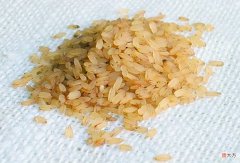 【历史故事】宋史：占城稻普及的始末和意义