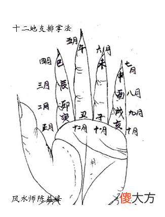 十二地支排掌法