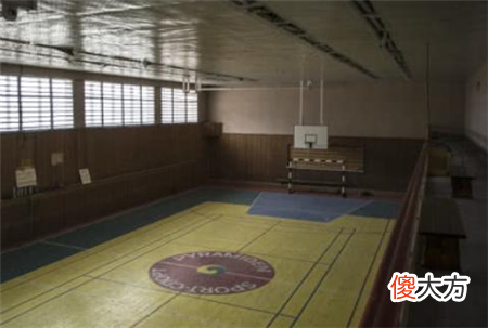 北极的神秘“鬼镇”：生活设施样样齐全，却无一人在此居住