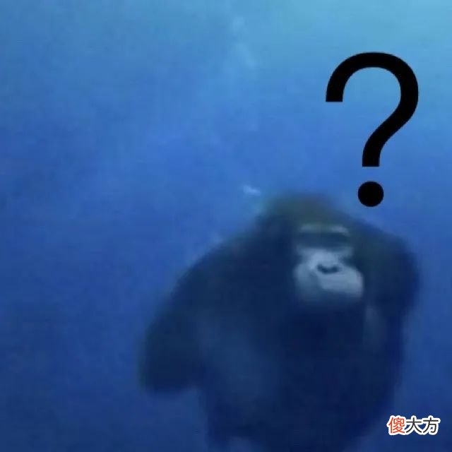 Ella公开生产过程：如何让孩子知道自己的付出？
