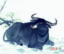 50.癸丑日