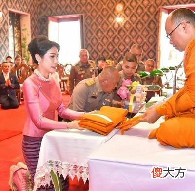 【历史故事】诗尼娜贵妃风头无两,会不会对西拉米的回归造成影响