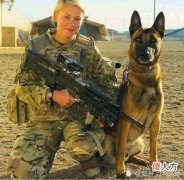 【爱历史】军犬他为战而生，为战而死！