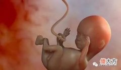 孕妈妈最怕的就是孩子的畸形，医生：做到这些事，避免胎儿畸形